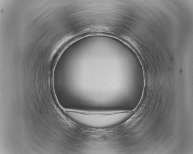 X0000059841115200511181506