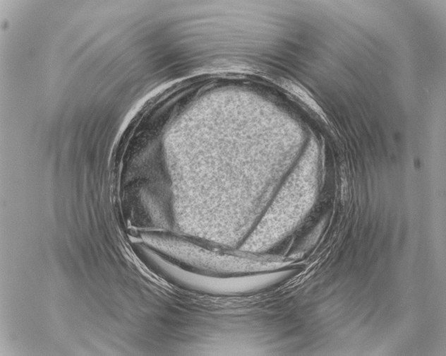 X0000059841116200511181506