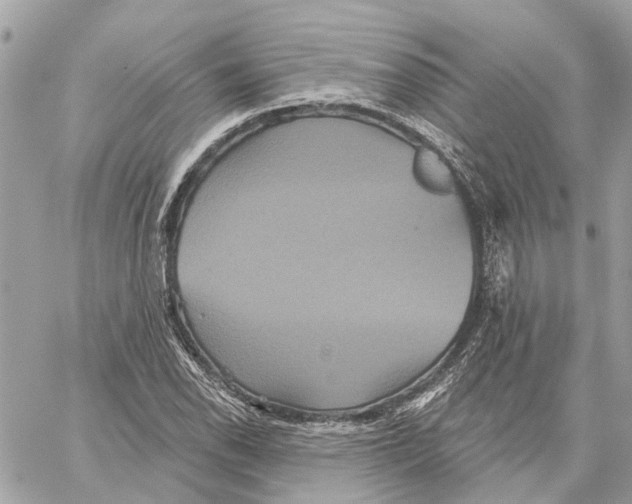 X0000059841118200511181506