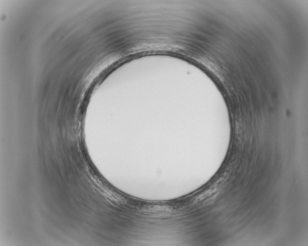 X0000059841119200511181506