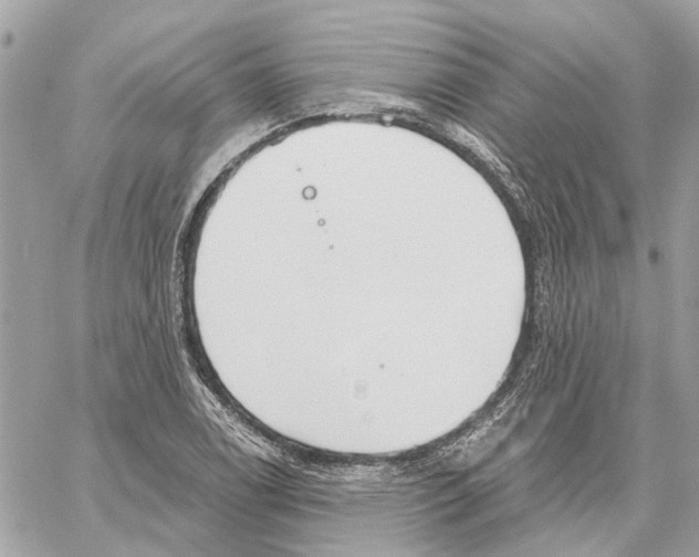 X0000059841122200511181506