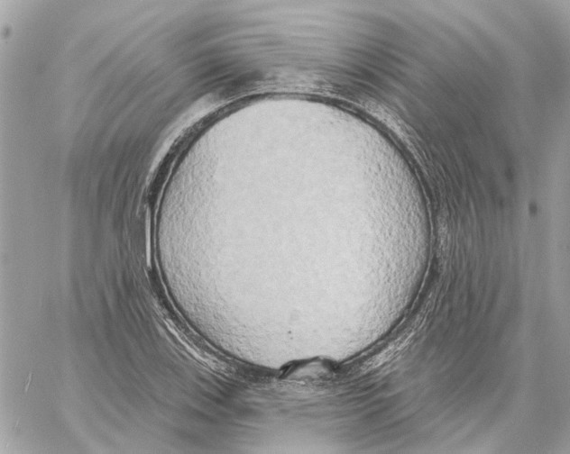 X0000059841123200511181506