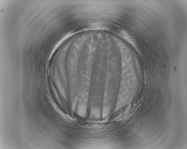 X0000059841124200511181506