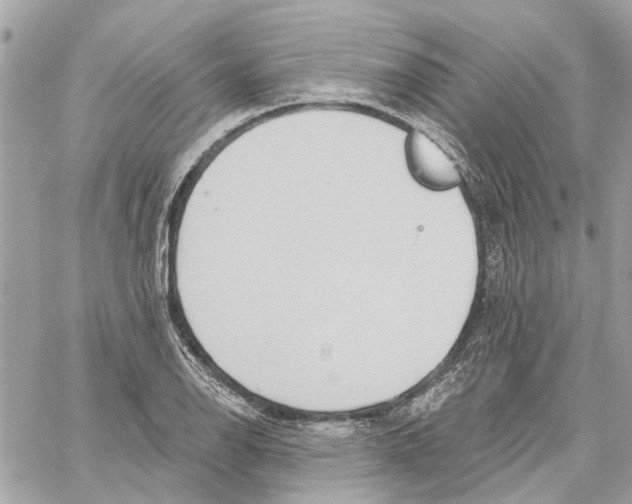 X0000059841126200511181506