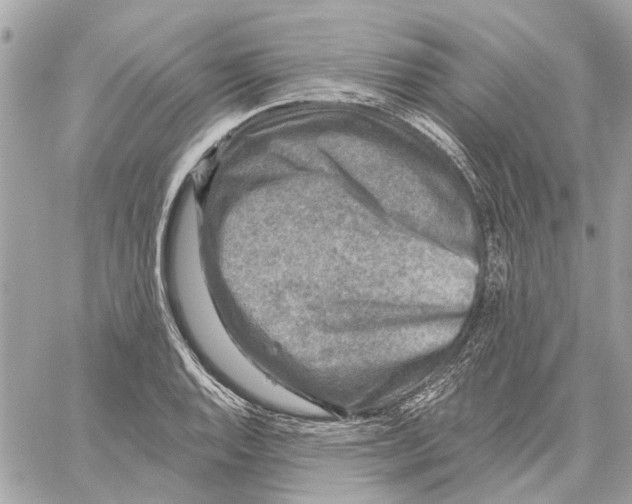 X0000059841128200511181506