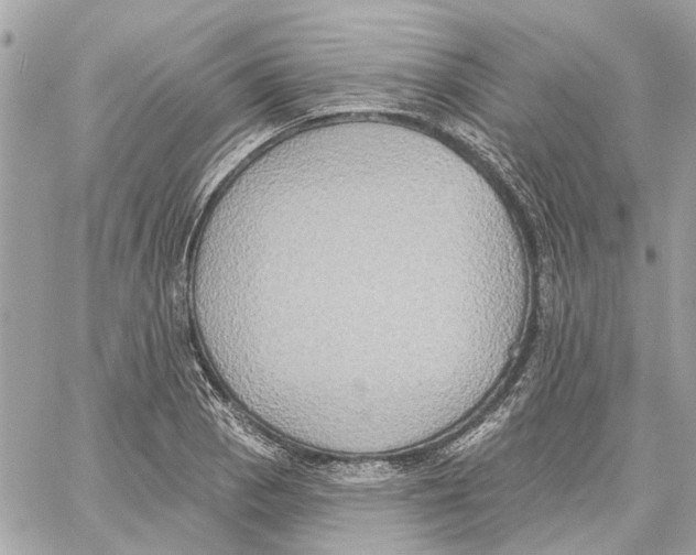 X0000059841129200511181506