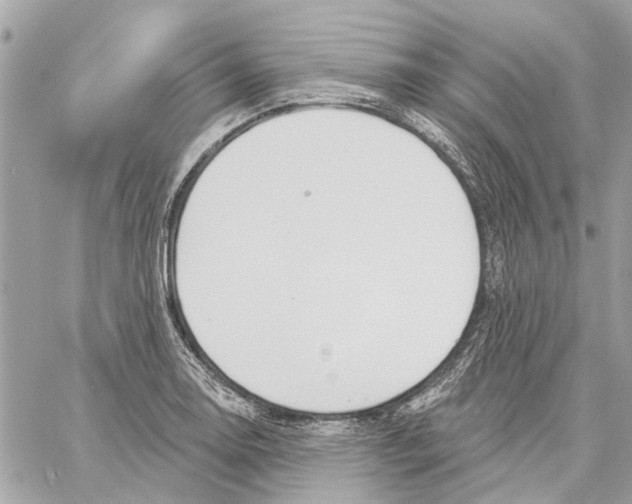 X0000059841130200511181506