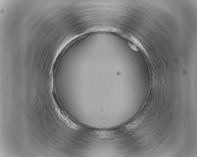 X0000059841132200511181506