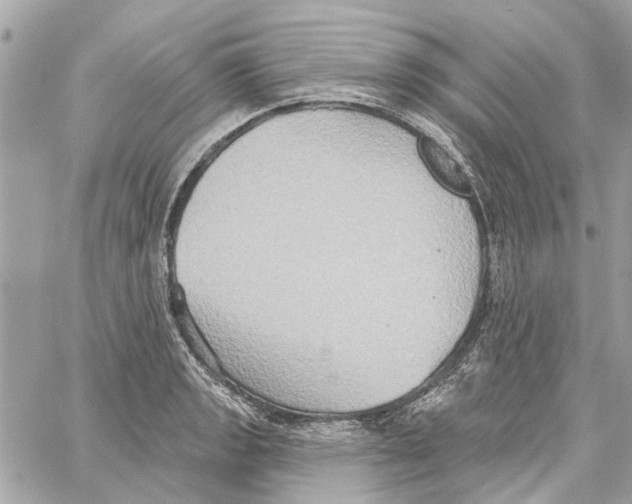 X0000059841133200511181506