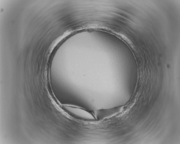 X0000059841134200511181506