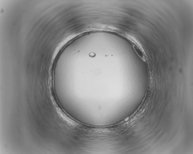 X0000059841136200511181506