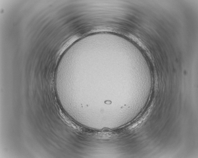 X0000059841137200511181506