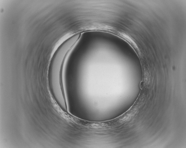 X0000059841138200511181506