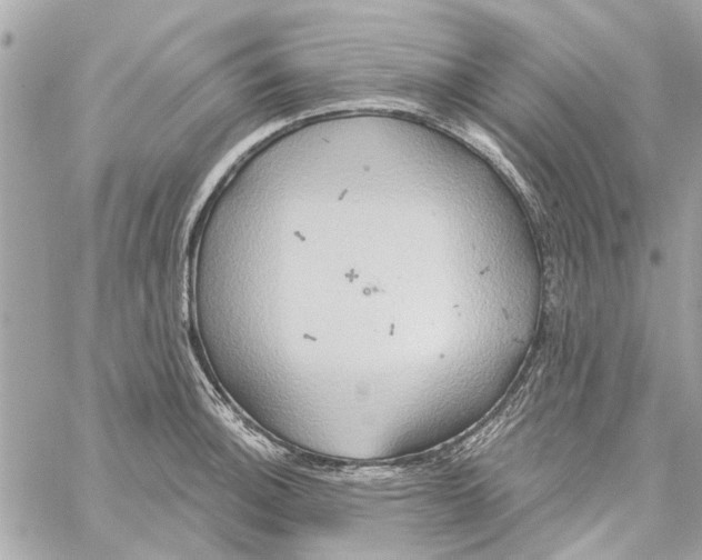 X0000059841140200511181506