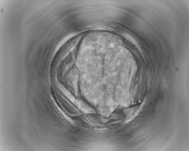 X0000059841141200511181506