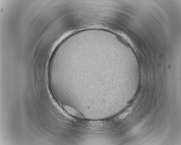 X0000059841142200511181506