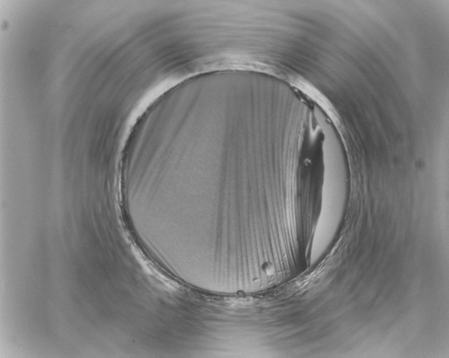 X0000059841144200511181506