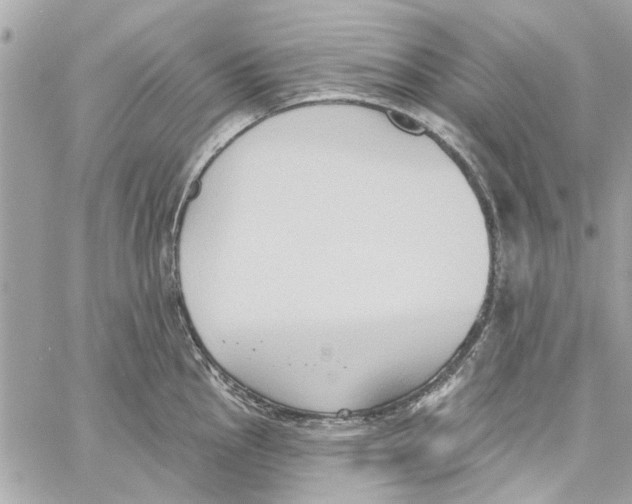 X0000059841145200511181506