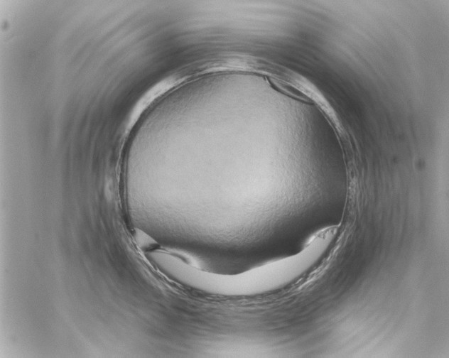 X0000059841146200511181506