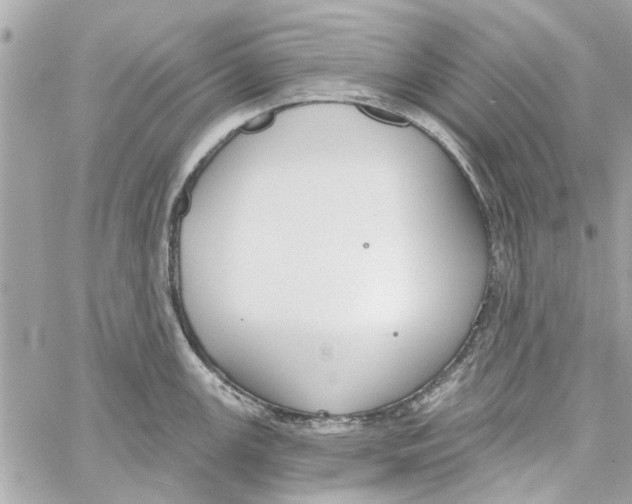 X0000059841147200511181506