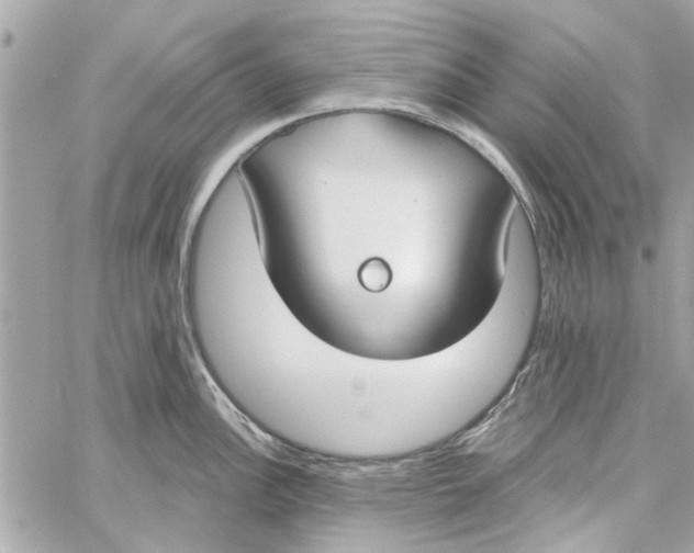 X0000059841148200511181506