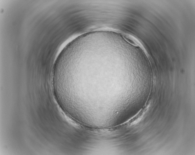 X0000059841149200511181506