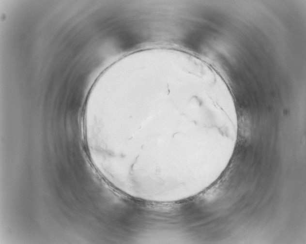 X0000059841150200511181506