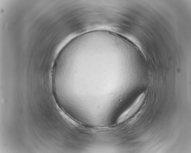 X0000059841151200511181506