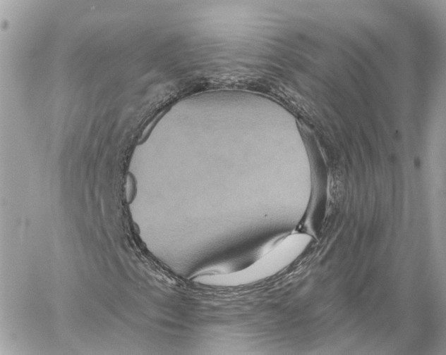 X0000059841153200511181506