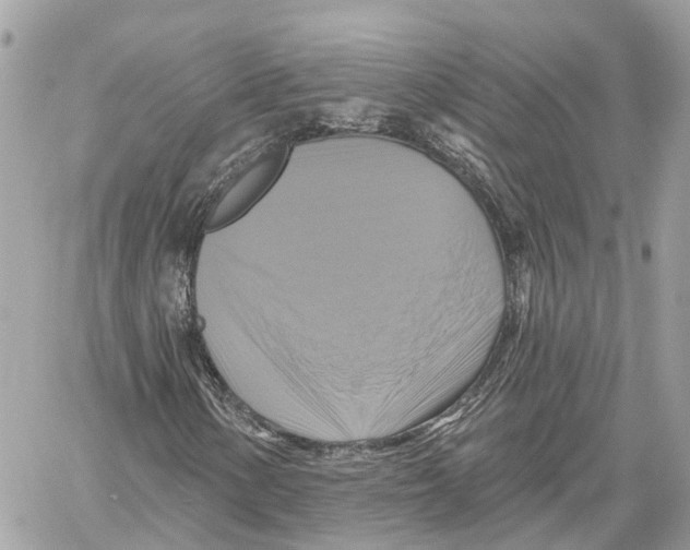 X0000059841154200511181506