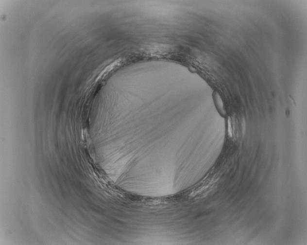 X0000059841155200511181506