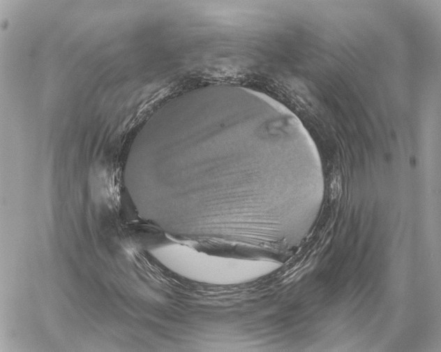 X0000059841156200511181506