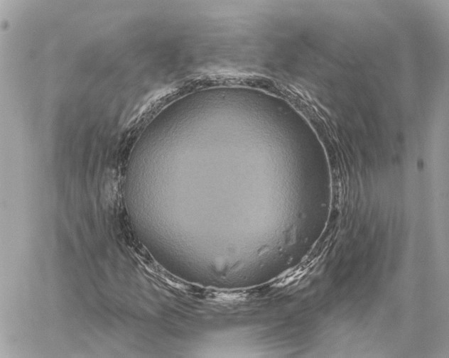 X0000059841157200511181506