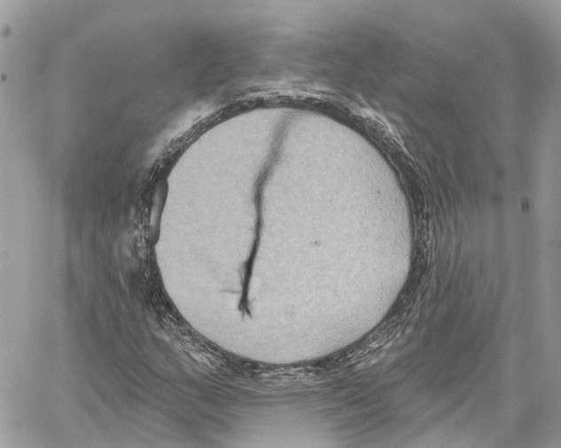 X0000059841159200511181506