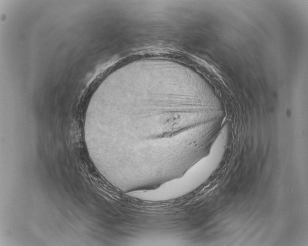 X0000059841160200511181506