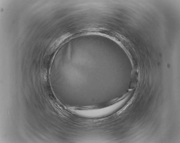 X0000059841161200511181506