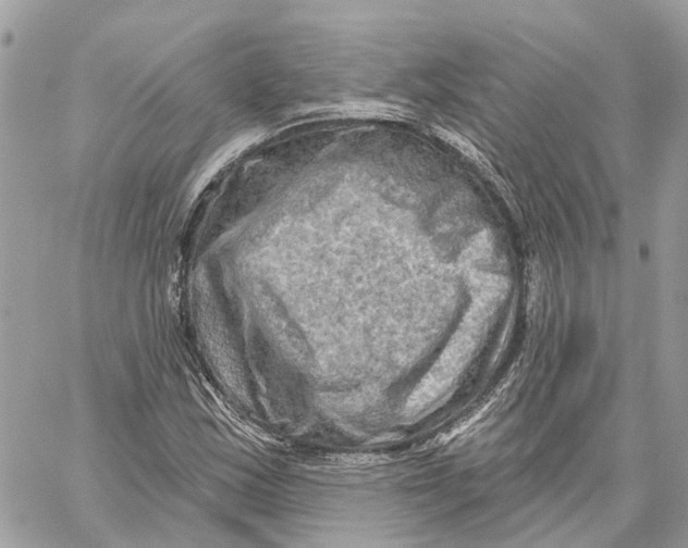 X0000059841163200511181506