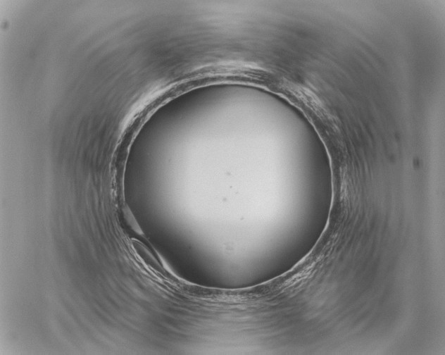 X0000059841164200511181506