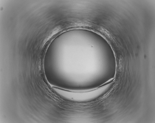 X0000059841165200511181506