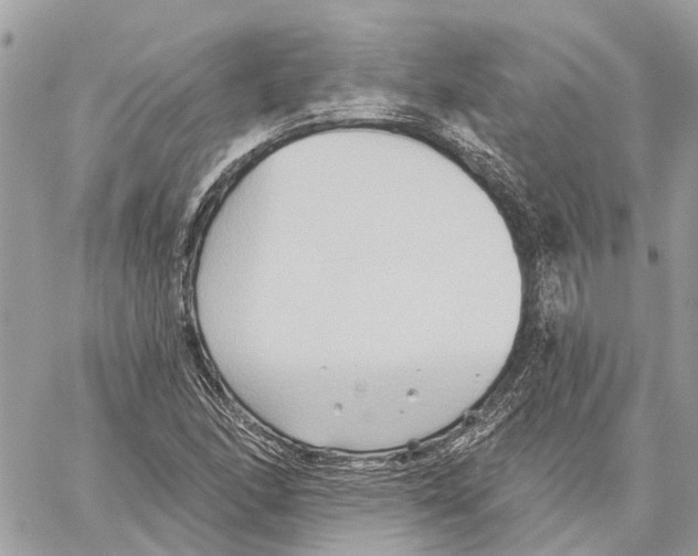 X0000059841166200511181505