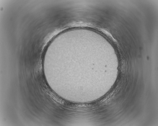 X0000059841167200511181505