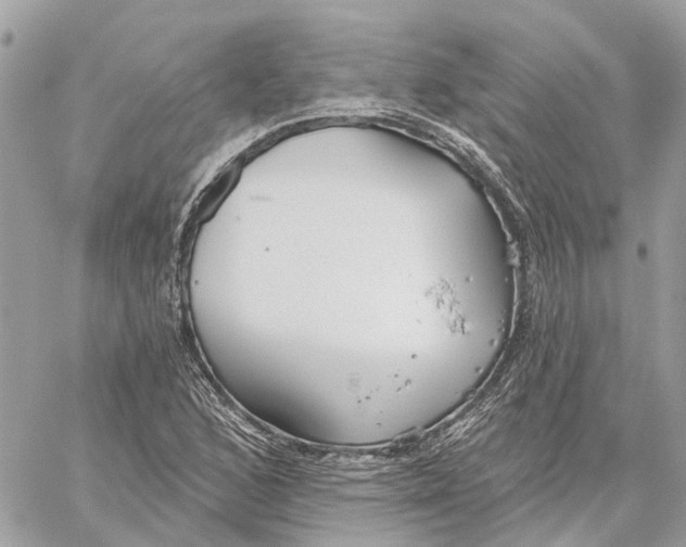 X0000059841168200511181505