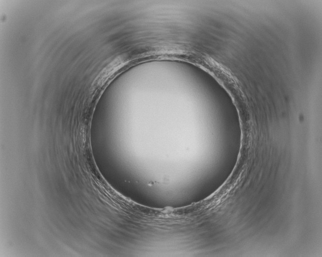 X0000059841169200511181505