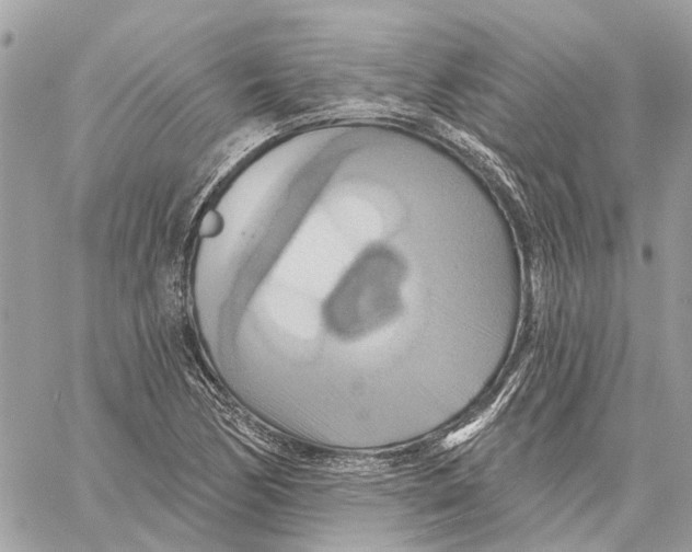 X0000059841170200511181505