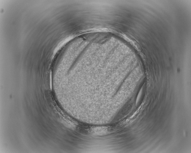 X0000059841171200511181505