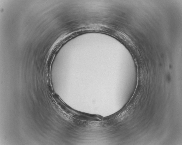 X0000059841172200511181505