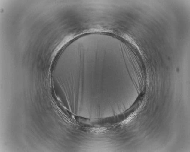 X0000059841173200511181505