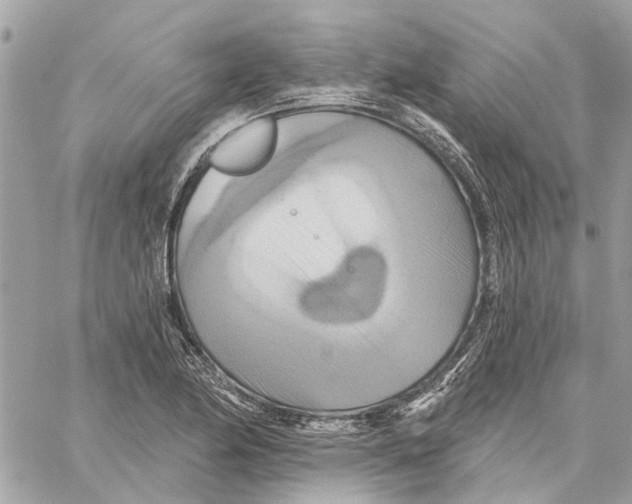 X0000059841174200511181505