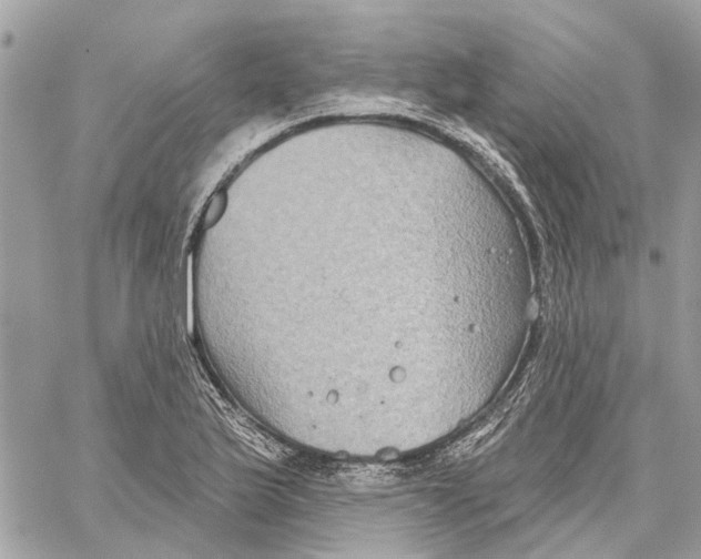 X0000059841175200511181505