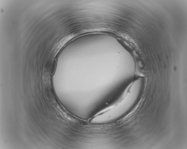 X0000059841177200511181505